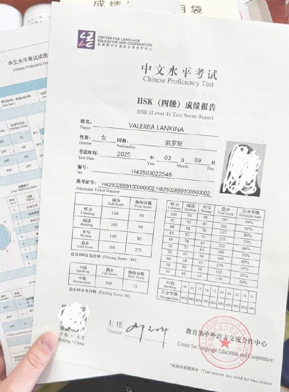 Валерия Ланкина: HSK 4, 273 из 300